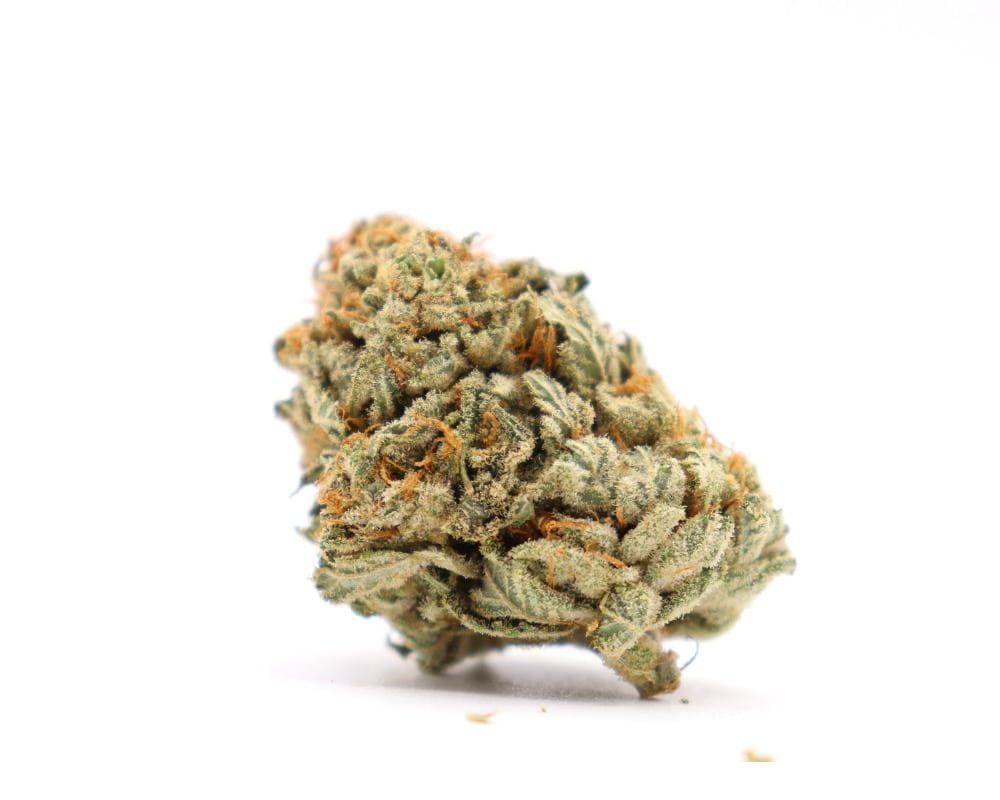 king kush indica cannabis online canada budora