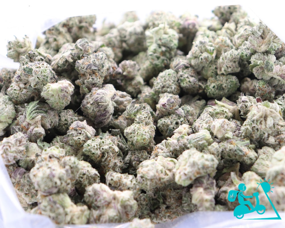 Small Bud Weed Delivery Vancouver | Get 20% Off Today