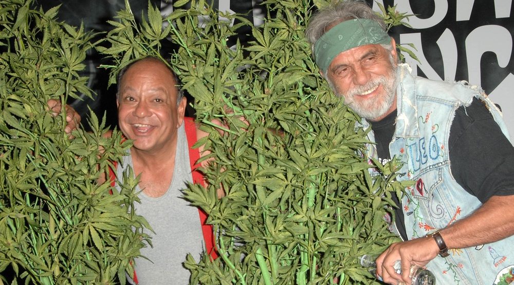 The Elite Stoner's Guide To Vancouver - 6 Hidden Gems (Cheech & Chong)
