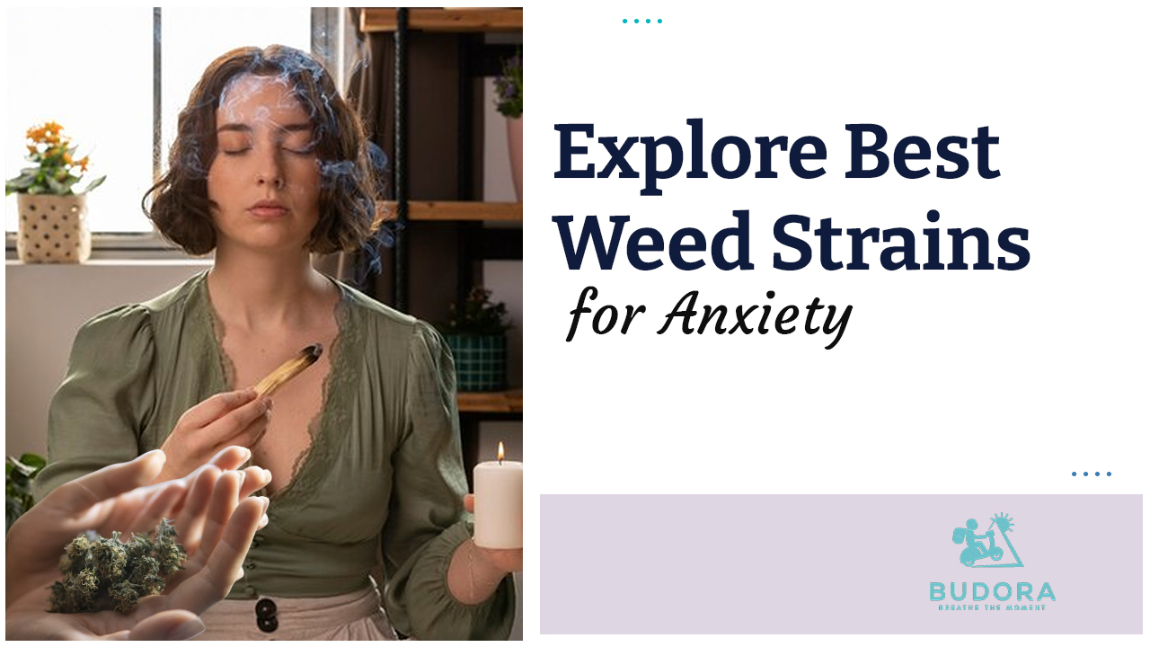 Explore Best Weed Strains for Anxiety