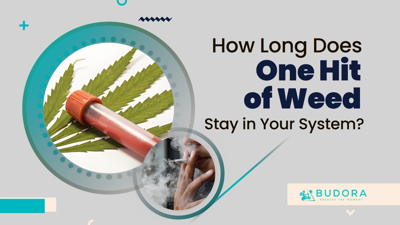 How Long Does One Hit of Weed Stay in Your System