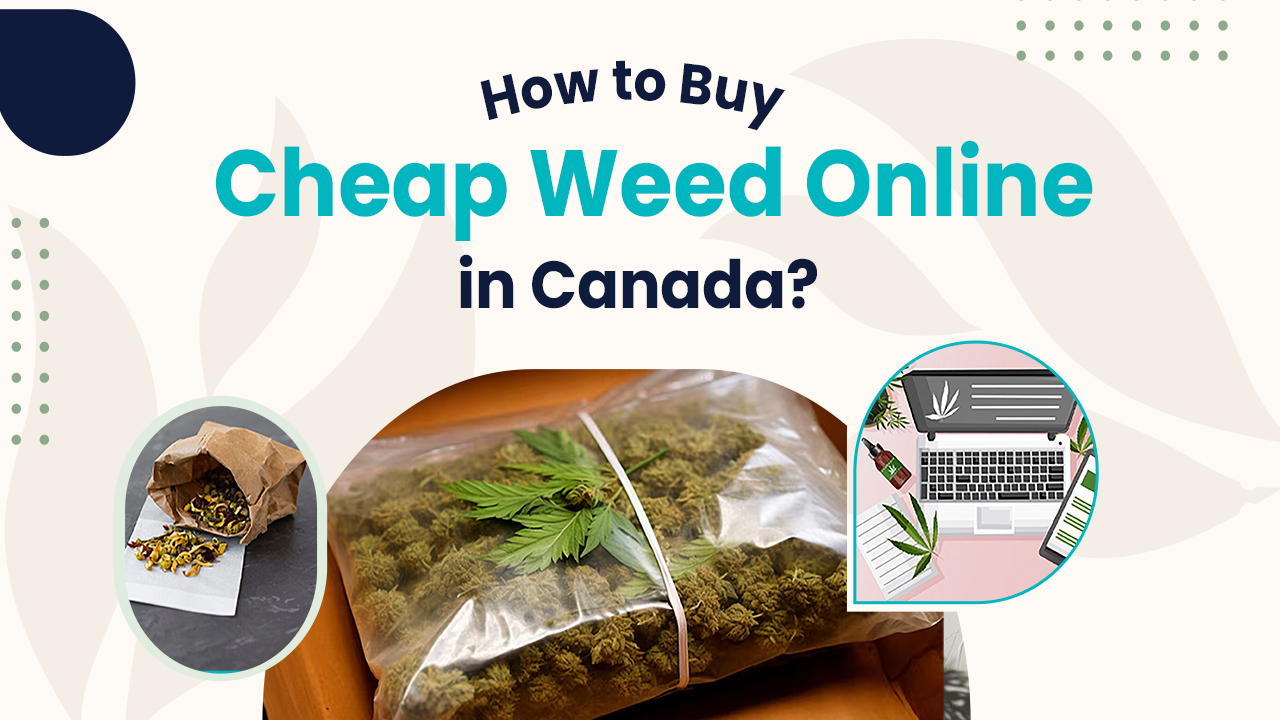 How to Buy Cheap Weed Online in Canada