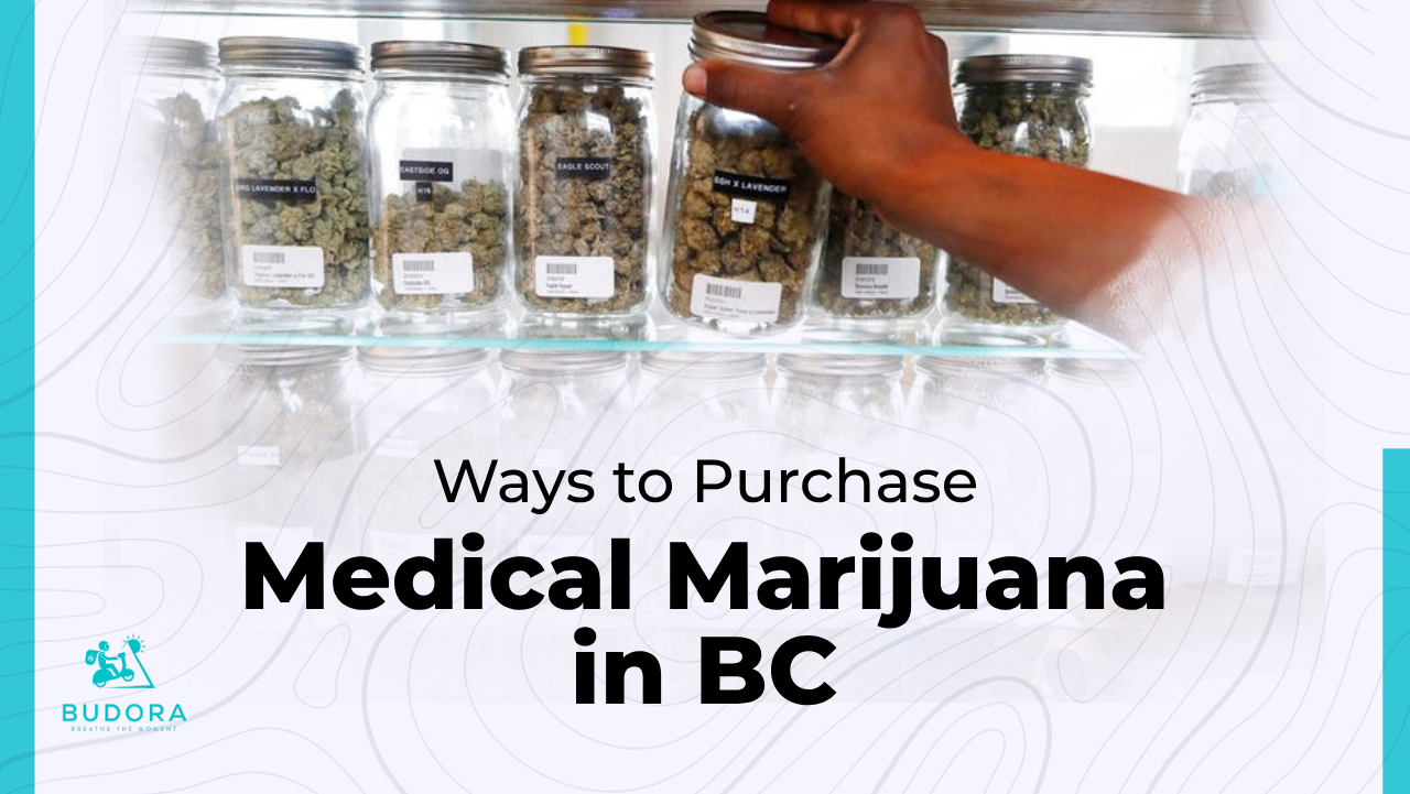 Ways to Purchase Medical Marijuana in BC Step by Step Process