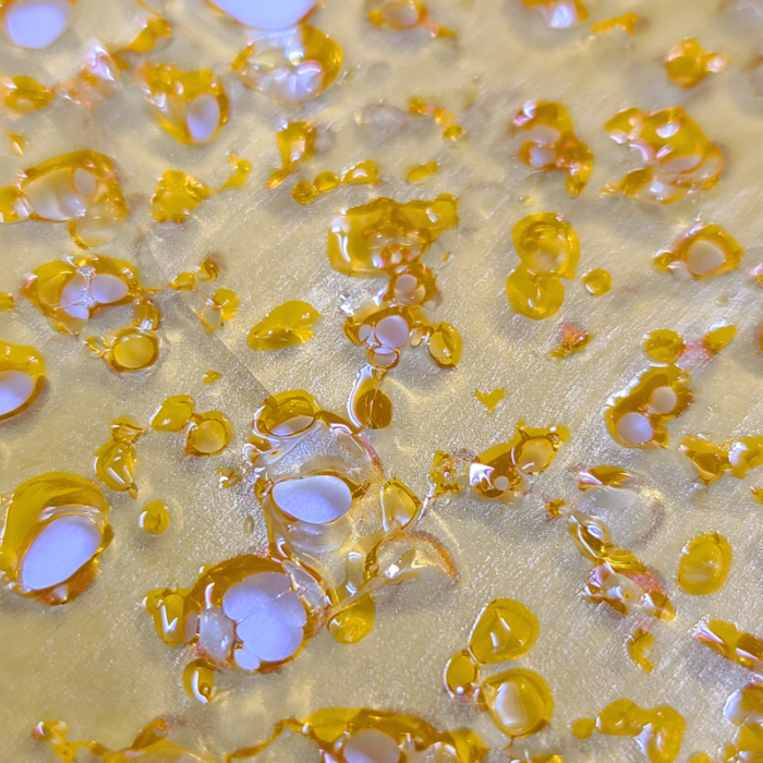 Purple Punch Shatter