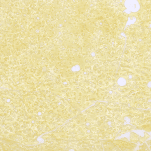 Rockstar Shatter (Premium)
