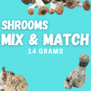 Shrooms Mix & Match 14g (½oz)