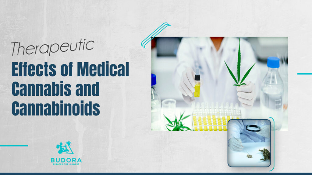 Therapeutic Effects of Medical Cannabis