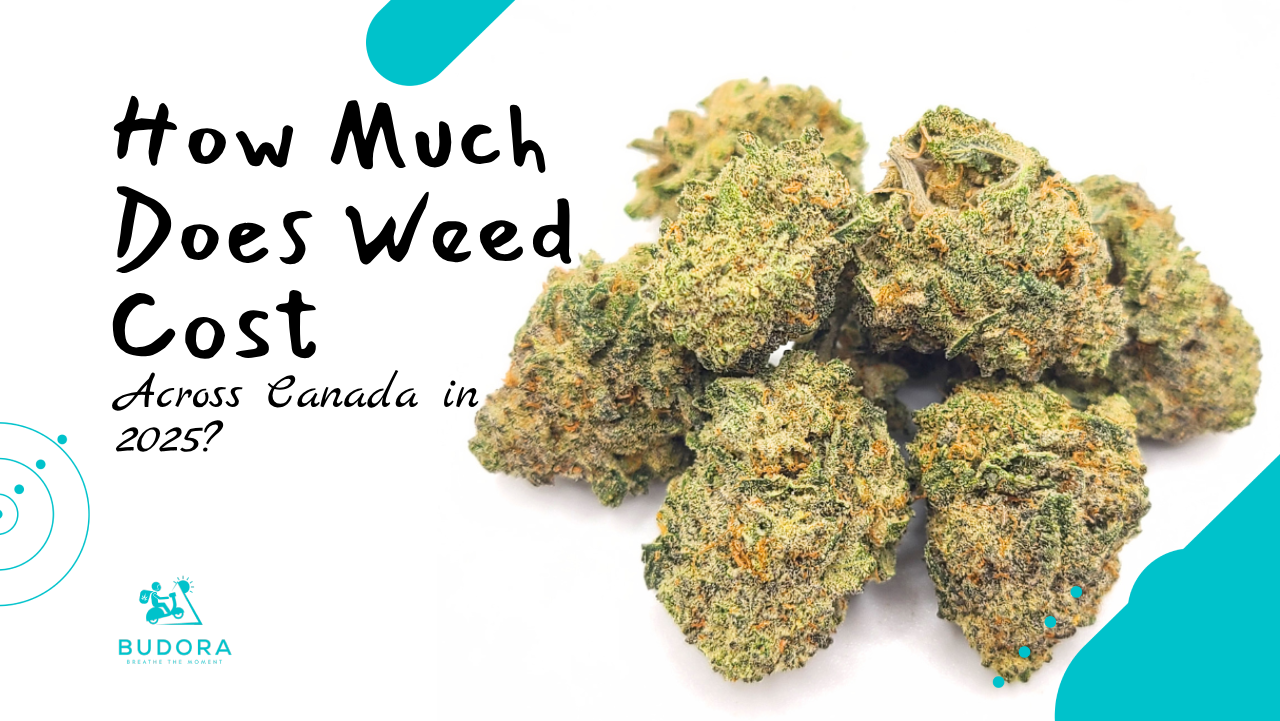How Much Does Weed Cost Across Canada