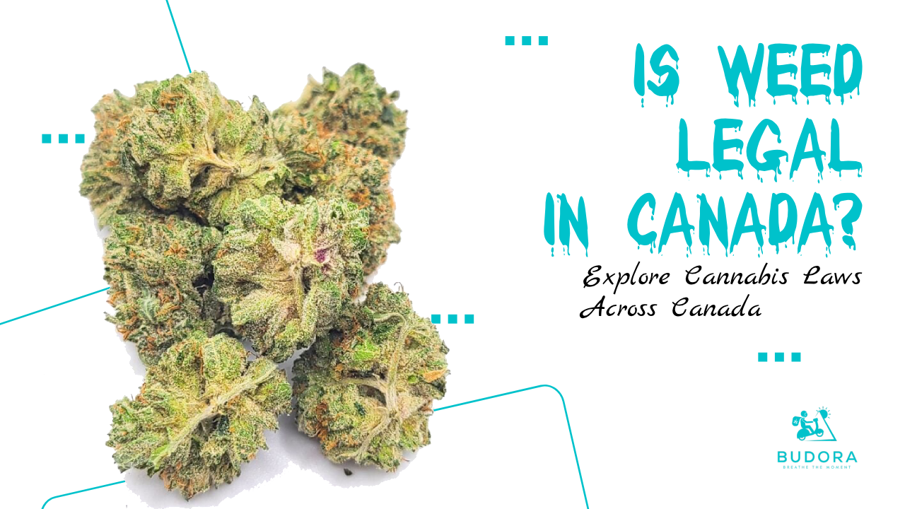 Is Weed Legal in Canada Explore Cannabis Laws Across Canada