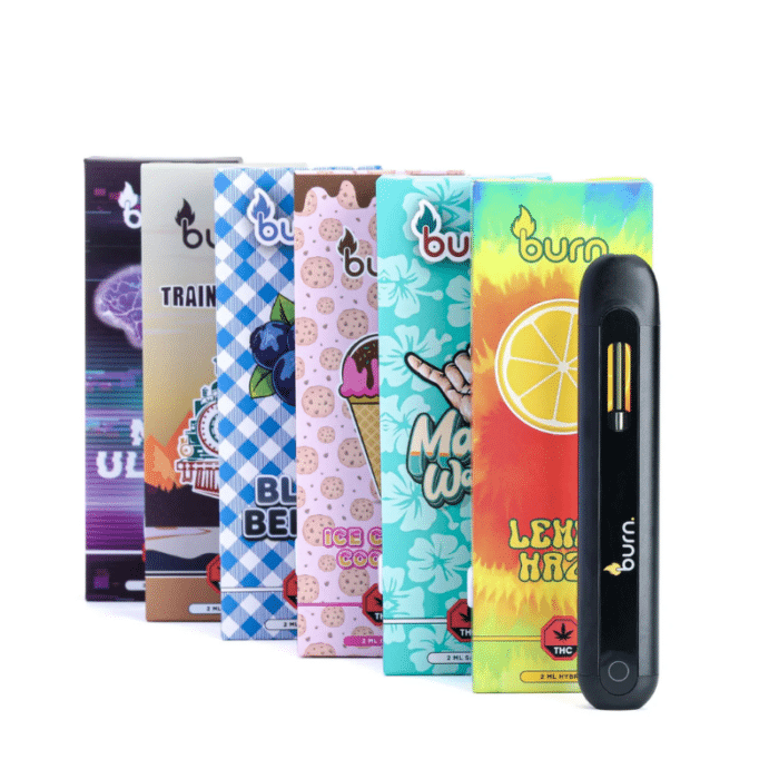 Burn Disposable Vape Pens (2 Gram)