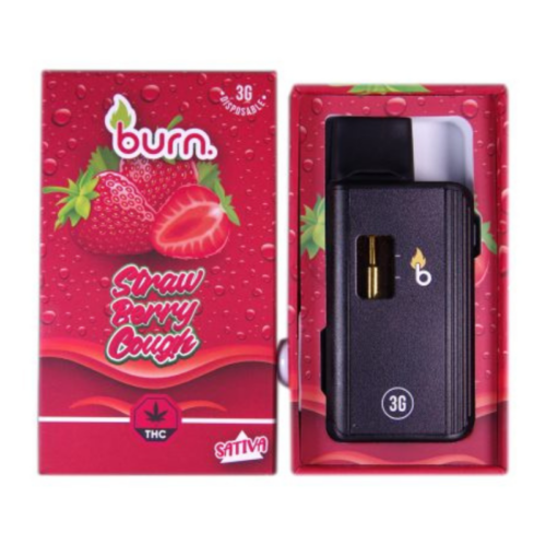 Burn Disposable Vapes 3g/3ml (THC) - Affordable Premium Quality Vapes