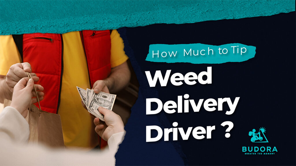 How Much to Tip Weed Delivery Driver for Your Service