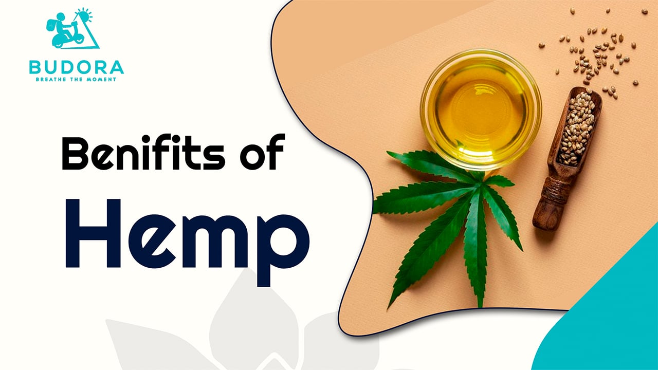 Explore The Benefits of Hemp