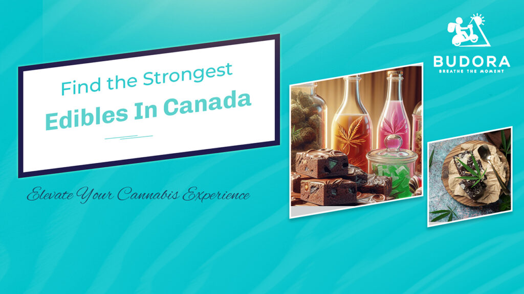 Find The Strongest Edibles in Canada