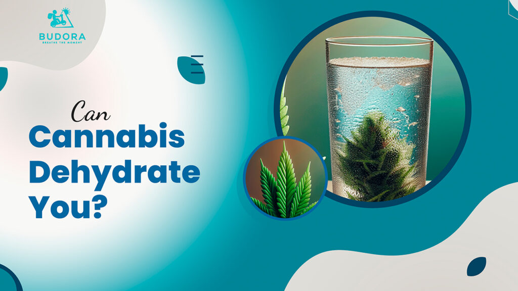 Can Cannabia Dehydrate You