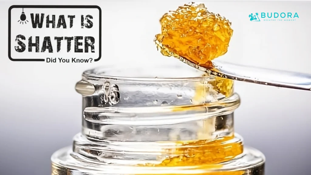 What is Shatter a Potent Cannabis Extract Explained