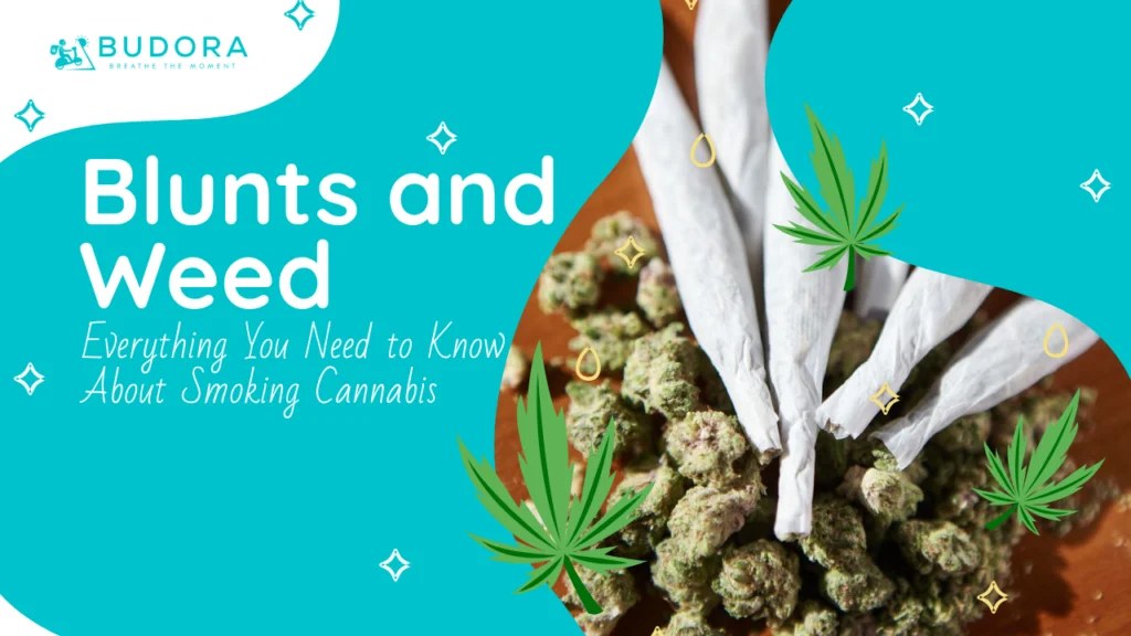 Blunts and Weed: Everything You Need to Know About Smoking Cannabis