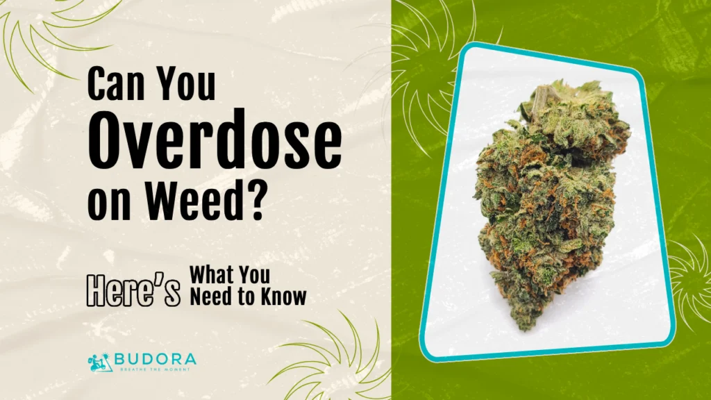 Can You Overdose on Weed? Here’s What You Need to Know