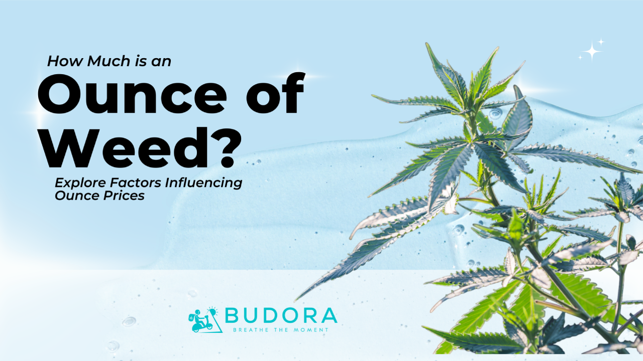 How Much is an Ounce of Weed your Comprehensive Guide