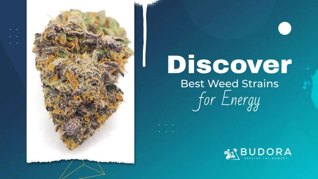 Need an Energy Boost? Discover the Best Weed Strains for Energy