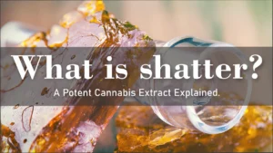 Potential Risks and Safety Tips for Shatter