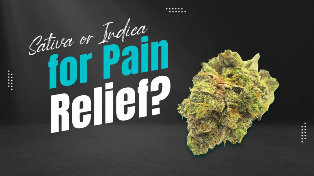 Sativa or Indica for Pain Relief? Find Out Which Works Best