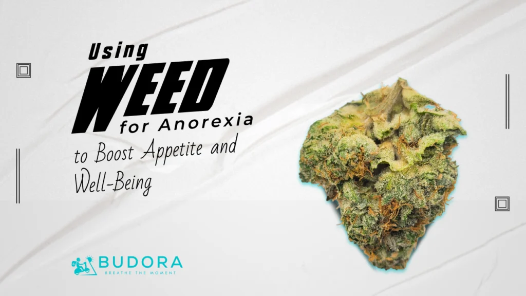 Using Weed for Anorexia to Boost Appetite and Well-Being