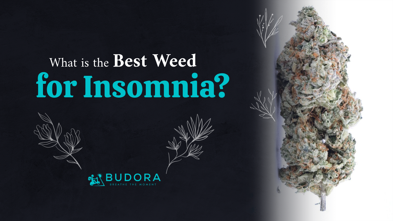 What is the Best Weed for Insomnia?