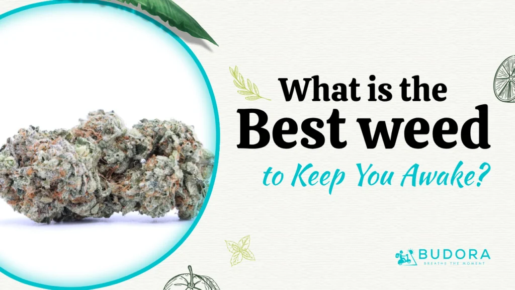 What is the best weed to keep you awake?