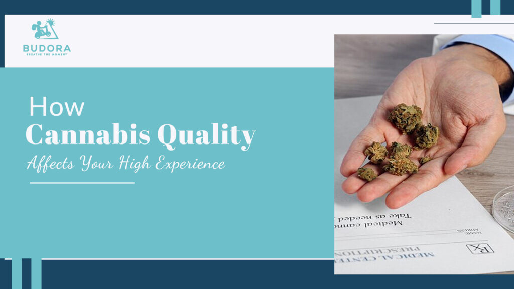 How Cannabis Quality Affects Your High Experience