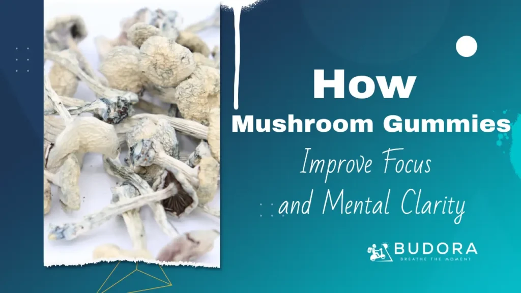 How Mushroom Gummies Improve Focus and Mental Clarity