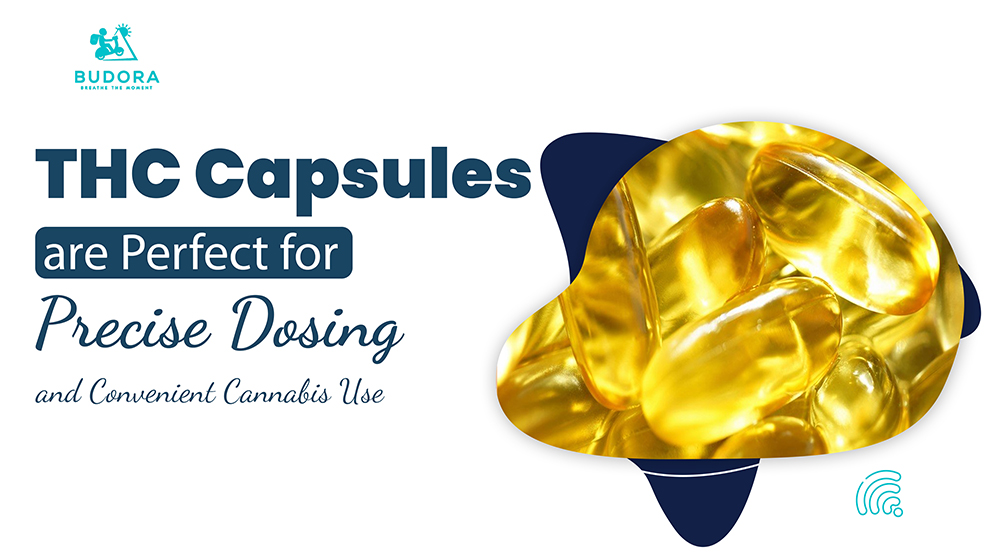 Why THC Capsules are Perfect for Precise Dosing and Convenient Cannabis Use