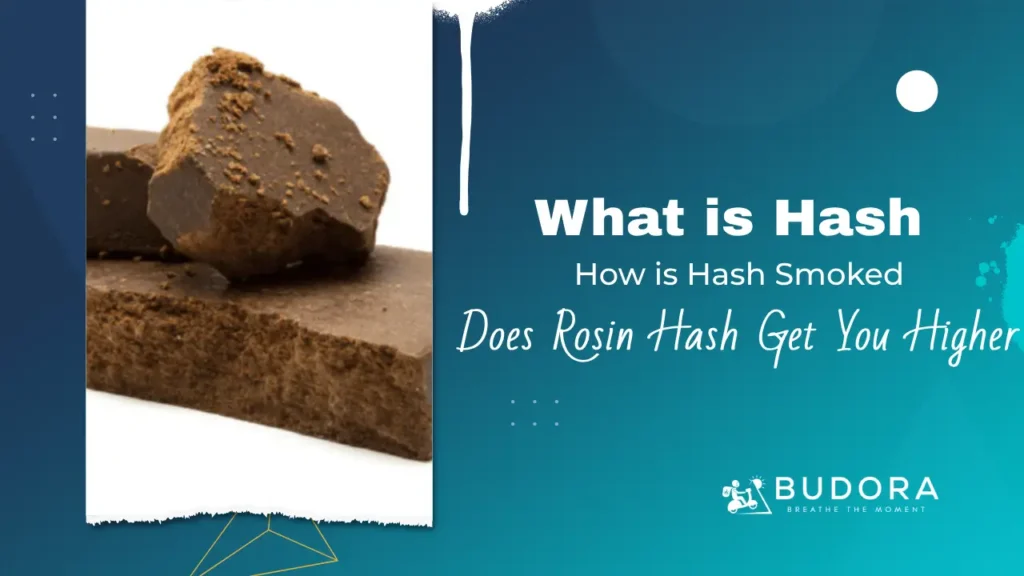 What is Hash, How is Hash Smoked, and Does Rosin Hash Get You Higher