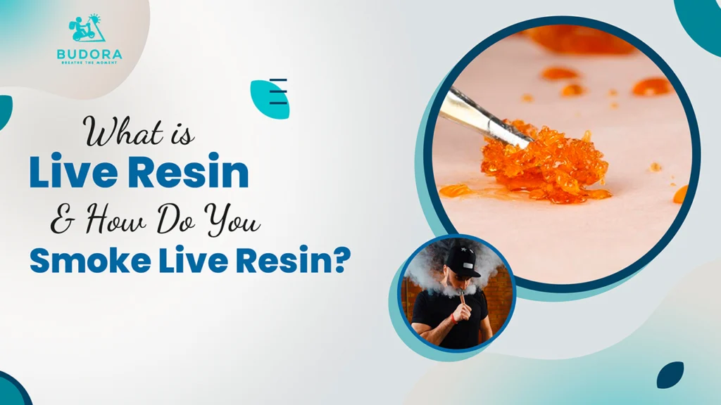 What is Live Resin & How Do You Smoke Live Resin?