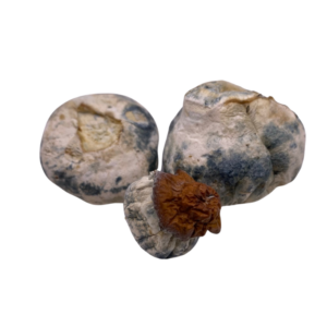 Bluey Vuitton Magic Mushrooms with same day delivery in Coquitlam