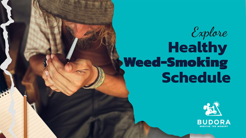 Explore Health Weed Smoking Schedule