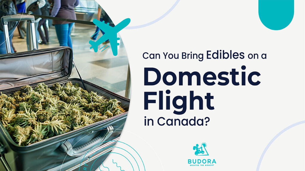 Can You Bring Edibles on a Domestic Flight in Canada