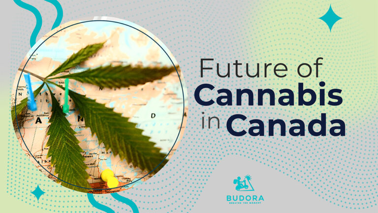 The Future of Cannabis in Canada: What’s Next