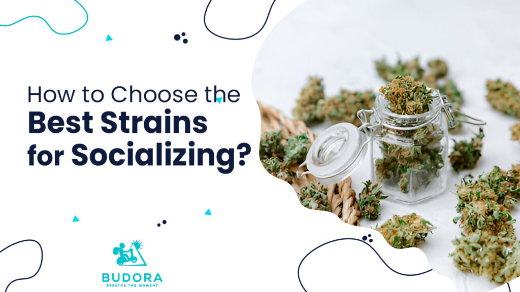 How to Choose the Best Strains For Socializing