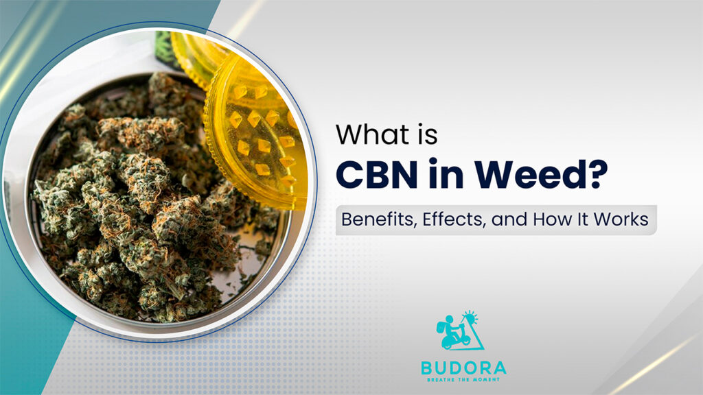 What is CBN in Weed