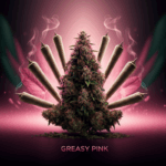 Budora - Weed Delivery Vancouver Same-day Greasy Pink Pre Rolls