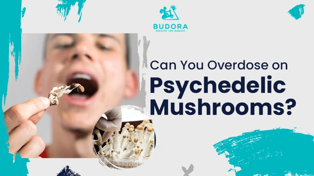 Can You Overdose on Psychedelic Mushrooms? Explore the Truth