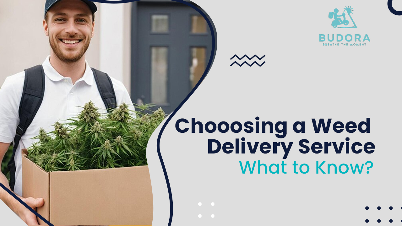 Choosing a Weed Delivery Service What to Know