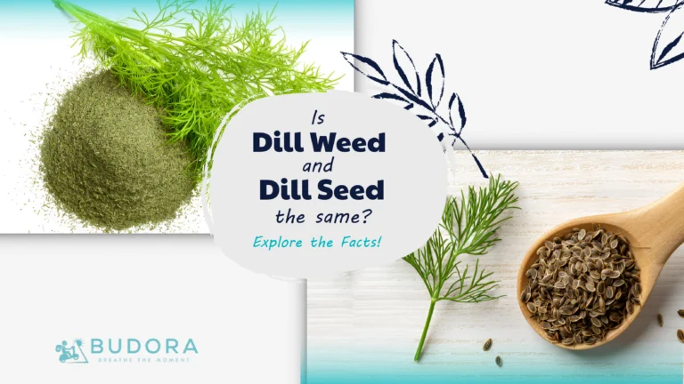 Is Dill Weed and Dill Seed The Same Explore The Facts