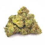 Island Pink Small Buds Indica Strain same day delivery by budora.net
