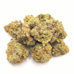 Jungle Cake Smalls Buds AA