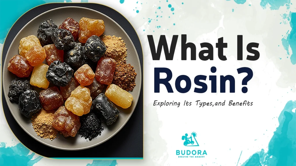 What Is Rosin? Exploring Its Types, Extraction, and Benefits