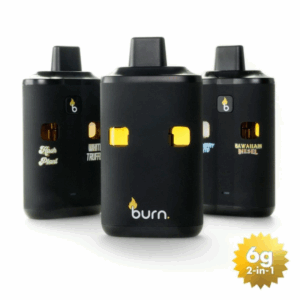 Burn Dual Chamber 6g THC Vape