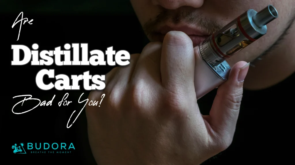 Are Distillate Carts Bad For You Heres What Science Says
