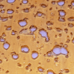 Black Cherry Punch Shatter (Premium)